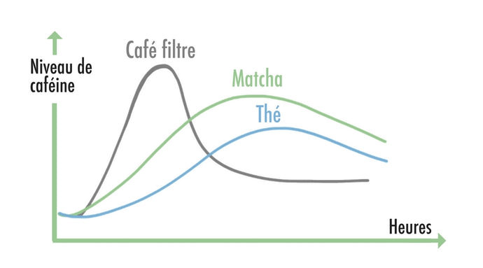 Matcha : How Much Caffeine and How Does It Compare to Coffee ?